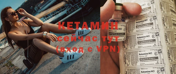 амф Болотное